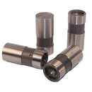 Engine Works ML900R-16 Hydraulic Lifters, Anti-Pump Up - Fits Ford SB/BB