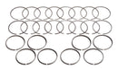 Hastings Piston Ring Sets 2M4860010