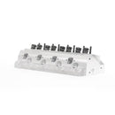 AFR 1399 165cc SBF Renegade 20 Degree Street Head