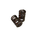 AFR Replacement Valve Springs 8000-16