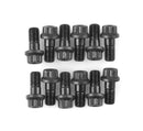 ARP 230-3001 GM 10 & 12 Bolt Ring Gear Bolt Kit