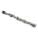 COMP Cams Magnum Solid Roller Camshafts 12-702-8
