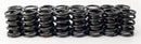 Comp Cams 911-16 Single Valve Springs