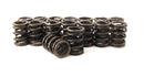 Comp Cams 926-16 Single Valve Spring