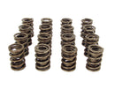 COMP Cams 953-16 Dual Valve Spring