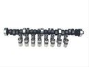 COMP Cams High Energy Cam and Lifter Kits CL12-206-2