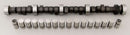 COMP Cams Magnum Hydraulic Cam and Lifter Kits CL31-330-3