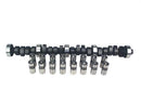 COMP Cams Magnum Hydraulic Cam and Lifter Kits CL35-414-3