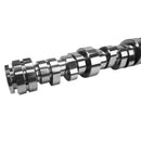 COMP Cams Godzilla Hydraulic Roller Camshafts 405-203-17