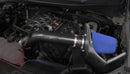 Corsa APEX Series MaxFlow 5 Intakes 619850-O