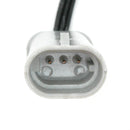 Delphi Engine Crankshaft Position Sensors SS10178