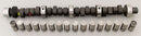 Edelbrock Performer RPM Cam and Lifter Kits 7177