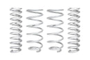 Eibach Pro-Kit Lift Springs E30-63-040-01-22
