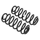 Old Man Emu Lift Coil Springs 3136