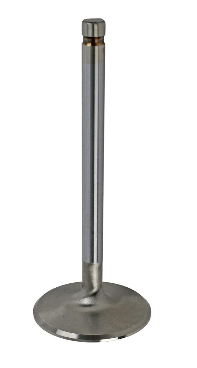 Engine Works 221219 Valves Street Series Intake Stainless 2.190 in. Diameter 0.3