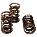 Engine Works 980-16 Valve Springs Heavy-Duty Dual 1.500 in. Outside Diameter 1.0