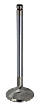 Engine Works LS Series Valves 218155P