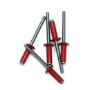 Engine Works 36383 Rivets Small Head Blind Rivets 3/16 in. Rivet 3/8 in. Head