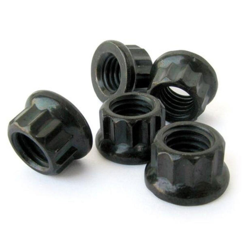 Engine Works 12-Point Flange Nuts 41481