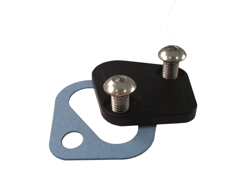 Engine Works Chevy Fuel Pump Block-Off Plates 560401