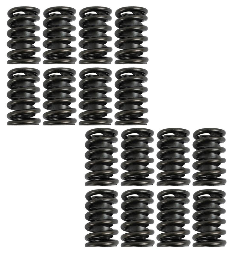 Engine Works Heavy-Duty Valve Springs 900-16