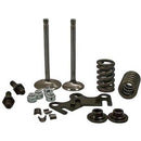 Engine Works VTK1000 Valvetrain Kit, w/ 900-16 Spring