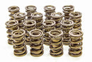 Isky Tool Room Gold Stripe Racing Valve Springs 9985