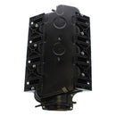 FAST 54039B LSX Intake Manifold, Multi-Port - 92mm Bore