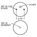 Firestone Replacement Air Springs W217606873
