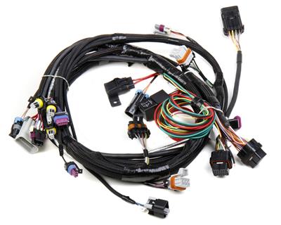 Holley EFI 558-102 Wiring Harnesses Holley EFI Replacement LS1/6 24X/1X Main Harness