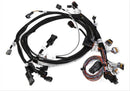 Holley EFI Systems Wiring Harnesses 558-115