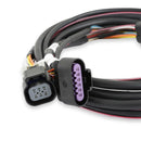 Holley EFI Systems Wiring Harnesses 558-406