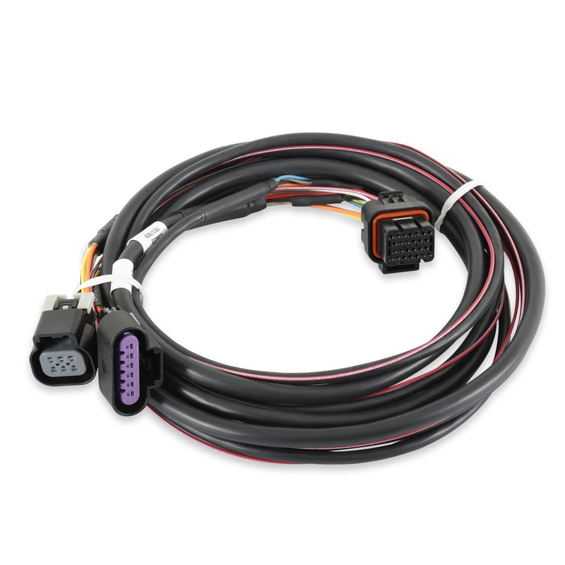 Holley EFI Systems Wiring Harnesses 558-406