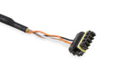 Holley EFI CAN Adapter Harnesses 558-452