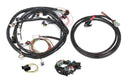 Holley EFI Systems Wiring Harnesses 558-508
