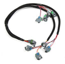 Holley Replacement Fuel Injector Wiring Harnesses 558-201
