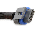 Holley LS Coil Harnesses 558-321
