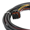 Holley EFI Systems Wiring Harnesses 558-406