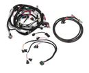 Holley EFI Systems Wiring Harnesses 558-502