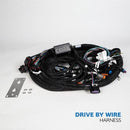 HP Tuners CORE LS Drive-By-Wire ECU Harnesses COR-HAR-002