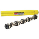 Howards Cams Hydraulic Roller Camshafts 180525-10