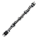 Howards Cams Hydraulic Roller Camshafts 180525-10