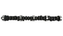 Howards Cams Street Force 2 Hydraulic Flat Tappet Camshafts 220031-12