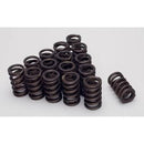 Isky Racing Cams 295D Tool Room Gold Stripe Racing Valve Springs, 1.260" OD