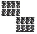 Isky Racing Cams 8005A Street/Oval/Drag Dual Valve Spring Set