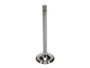 Manley Budget Series Replacement Valves 10649-8