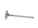 Manley Race Series Stainless Steel Valves 11138-8