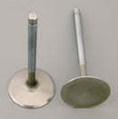 Manley Race Series Stainless Steel Valves 11352-8