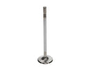 Manley Race Series Stainless Steel Valves 11616-8