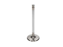 Manley Severe Duty Series Stainless Steel Valves 11813-8
